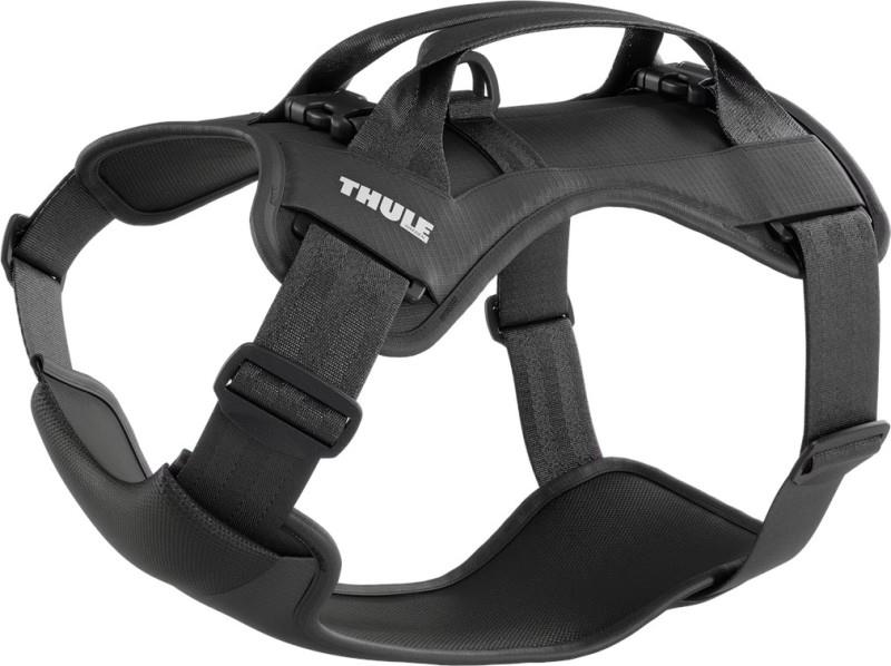 Cappy - Large - black 1