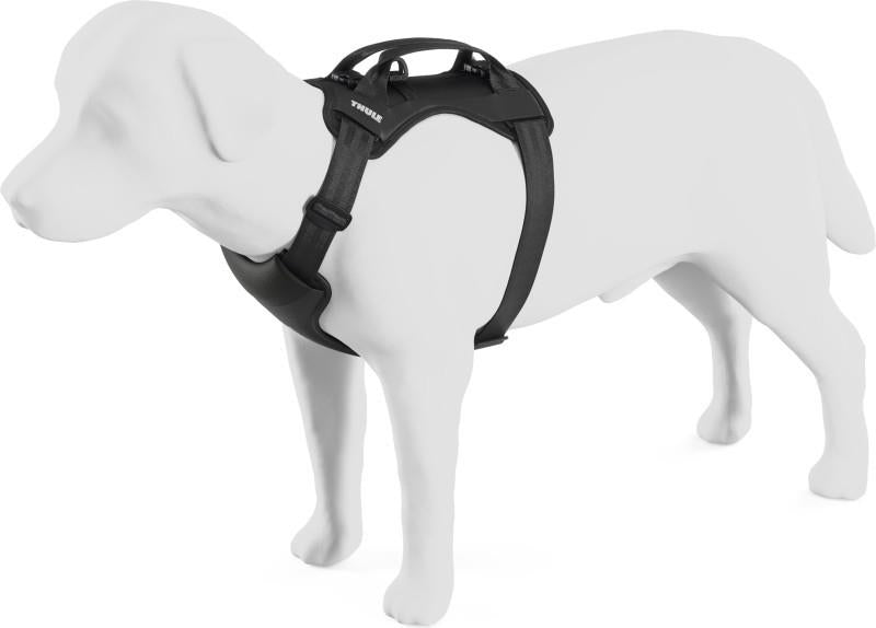 Cappy - Large - black 1