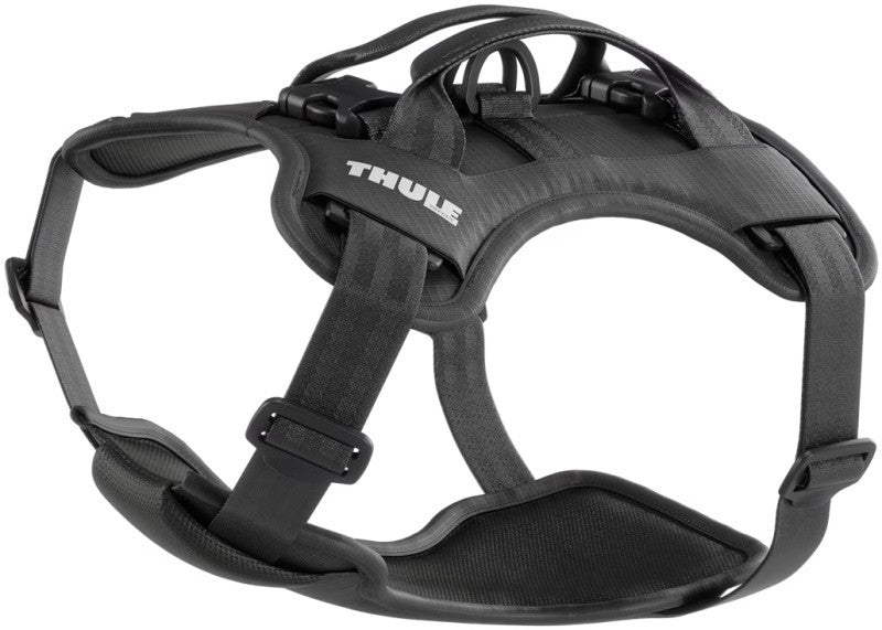 Cappy - Small - black 1