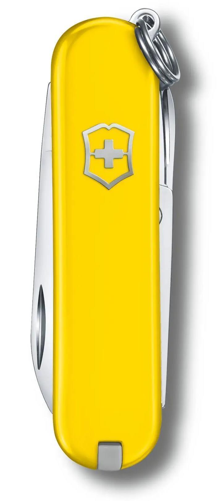 Classic SD - Sunny Side Yellow 2