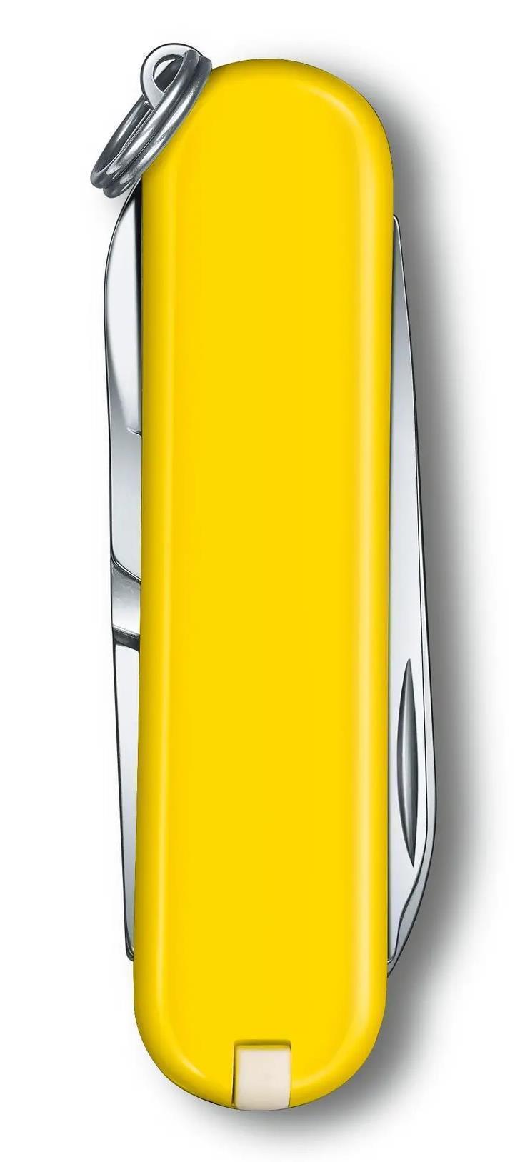 Classic SD - Sunny Side Yellow 3