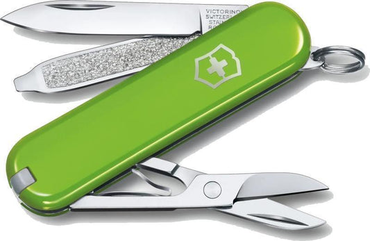 Classic SD - Smashed Avacado Green - Boxed - not applicable 1
