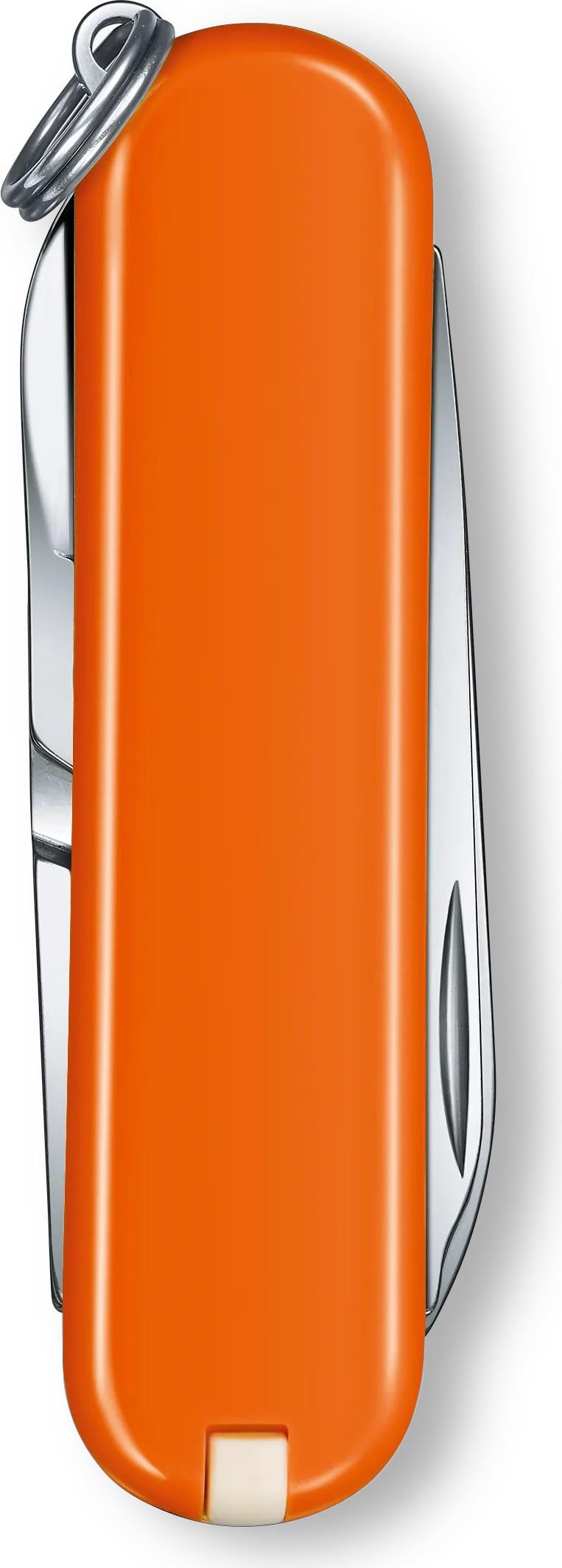 Classic SD - mango tango orange 1