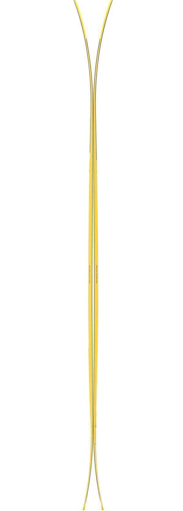 Vital 100 Ski - 21/22 - not applicable 1