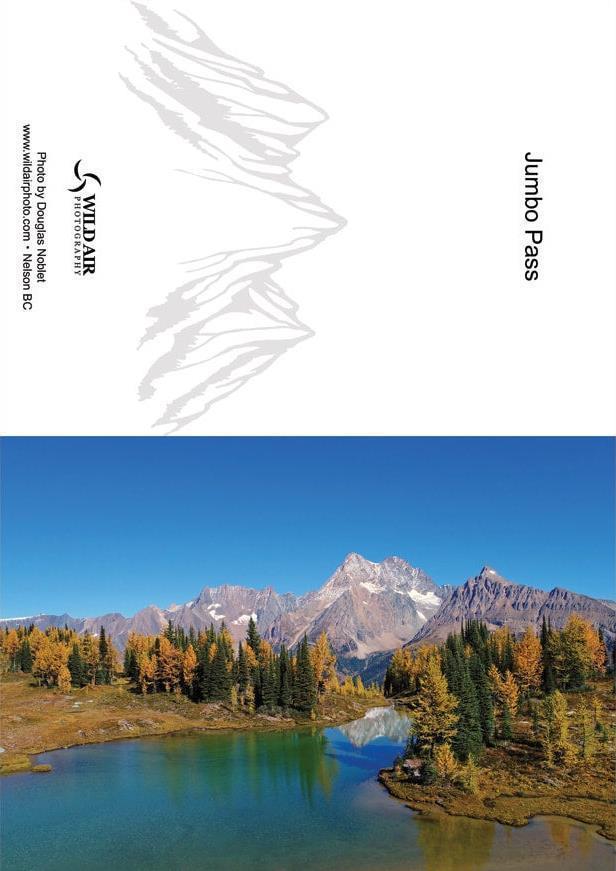 Wild Air Photography Greeting Cards - jumbo pass 1
