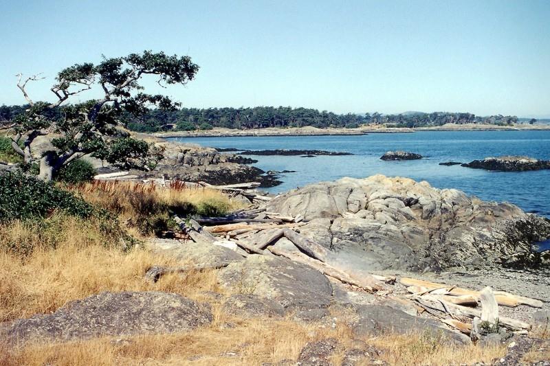 #215 Victoria / Sooke Map - not applicable 1