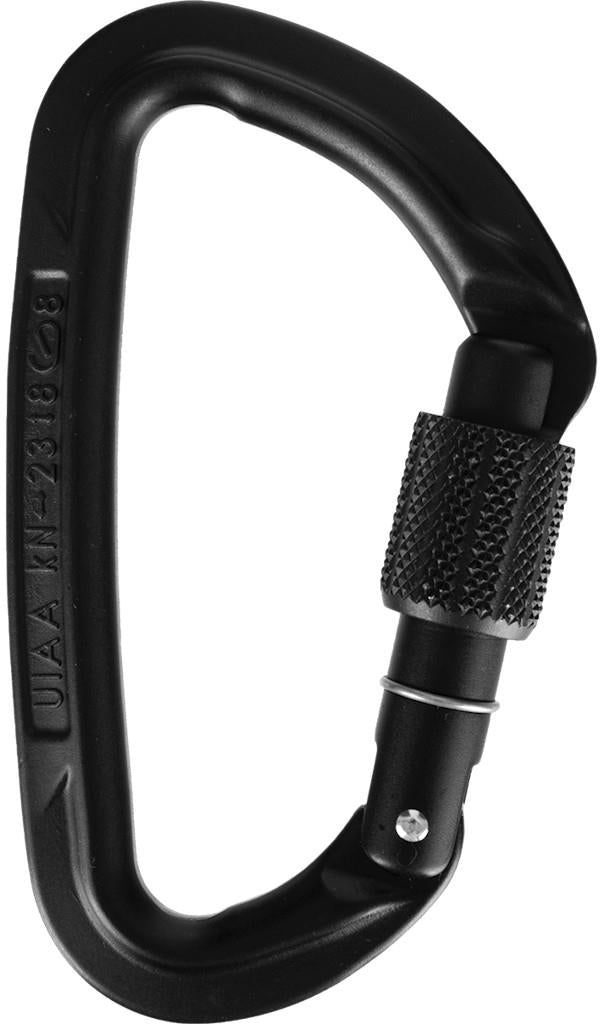 Session Screw Gate Carabiner - black 1