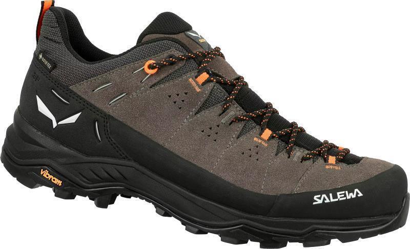 Alp Trainer 2 GTX - Mens - Bungee Cord / Black 1