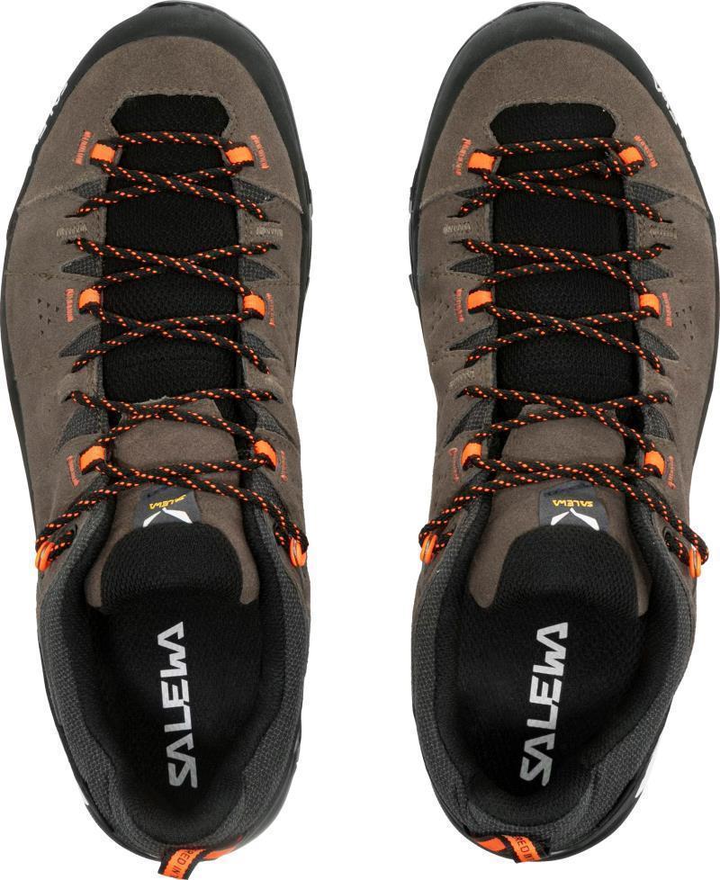 Alp Trainer 2 GTX - Mens - Bungee Cord / Black 3