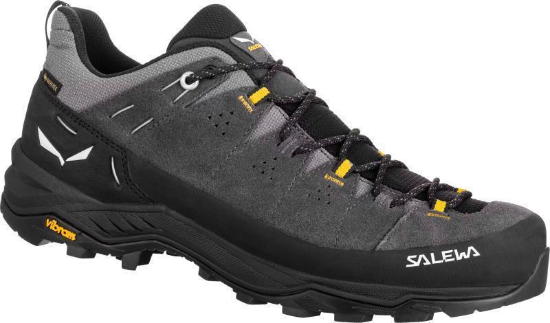 Alp Trainer 2 GTX - Mens - Onyx / Black 1