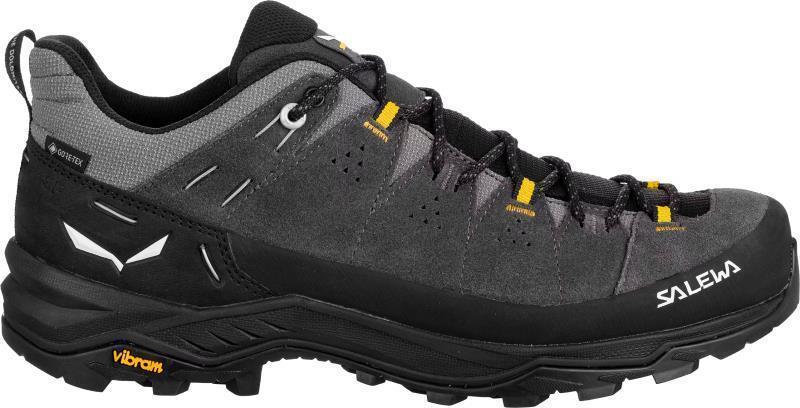 Alp Trainer 2 GTX - Mens - Onyx / Black 2