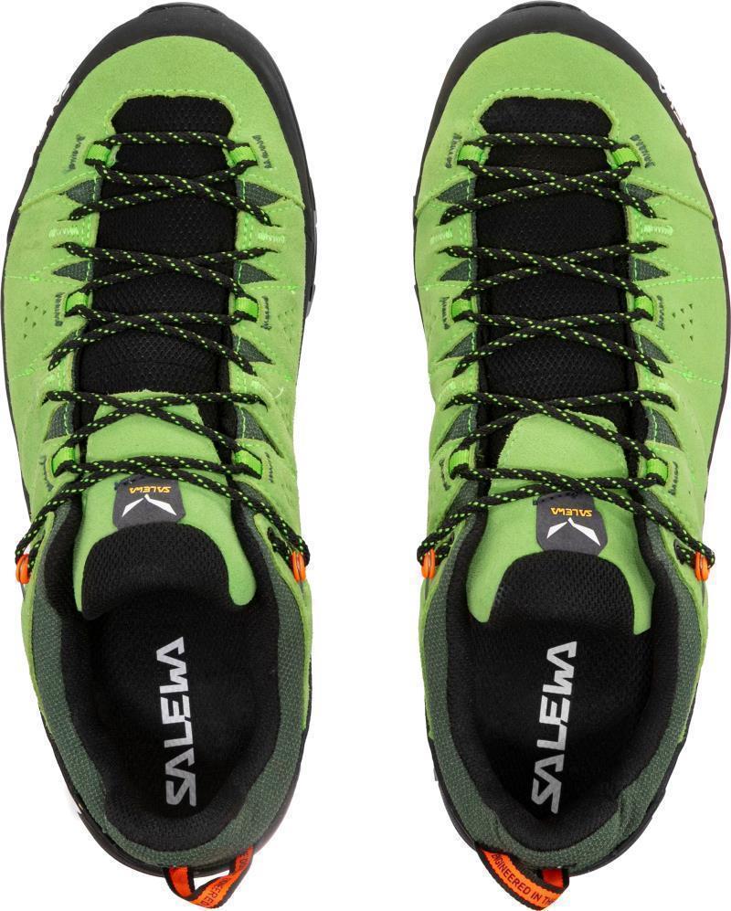 Alp Trainer 2 GTX - Mens - Pale Frog / Black 3