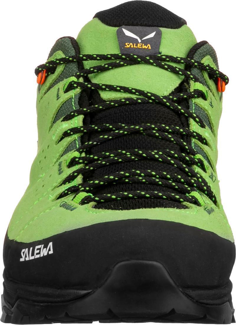 Alp Trainer 2 GTX - Mens - Pale Frog / Black 4