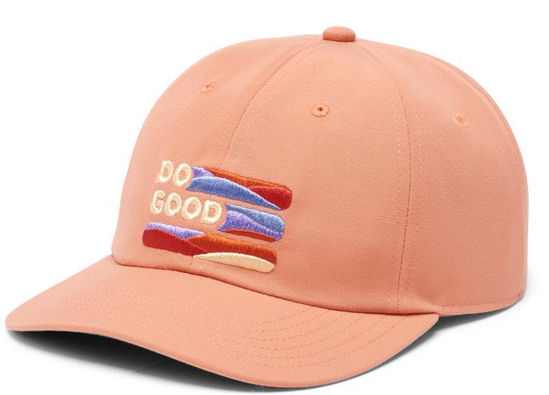 Do Good Stripe Dad Hat - Nectar 1