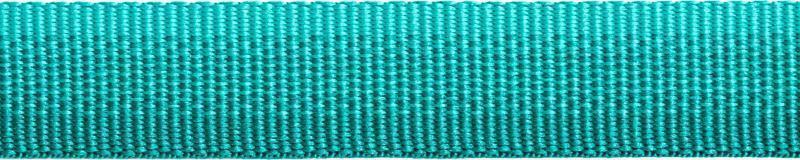 Front Range Leash - Aurora Teal 2