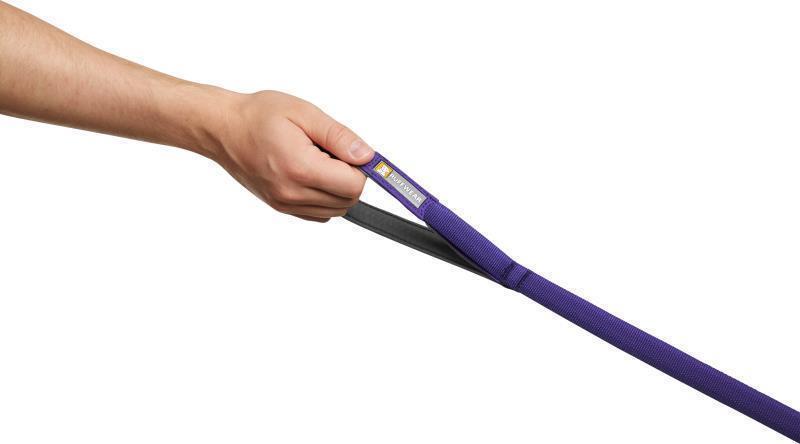 Front Range Leash - Huckleberry Blue 3