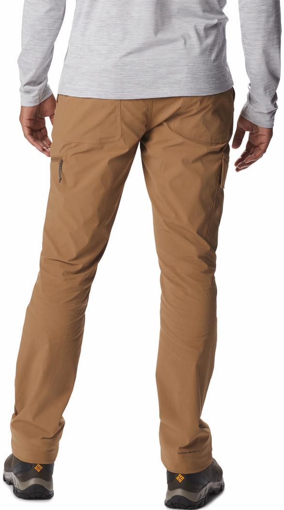 Newton Ridge II Pants, 32" Inseam - Mens - Delta 2