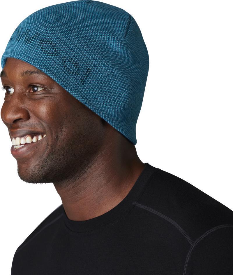 Smartwool Lid Logo Beanie - Capri 2