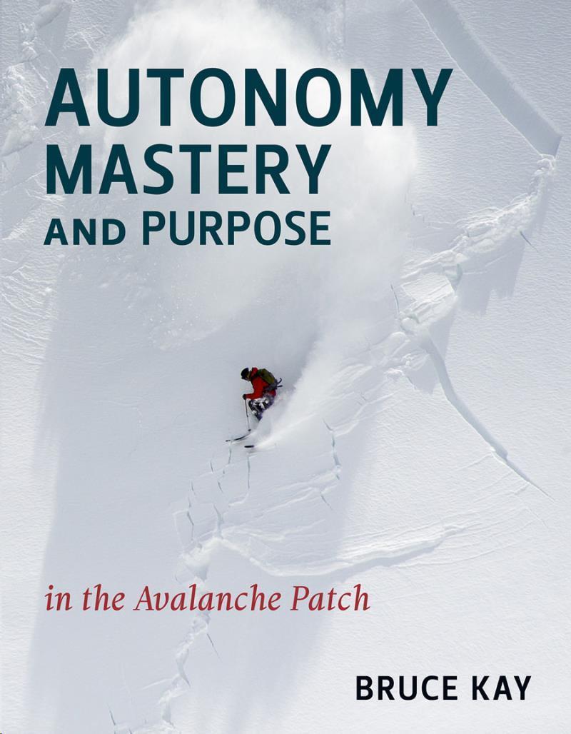 Autonomy, Mastery and Purpose in the Avalanche Patch - Not Applicable 1