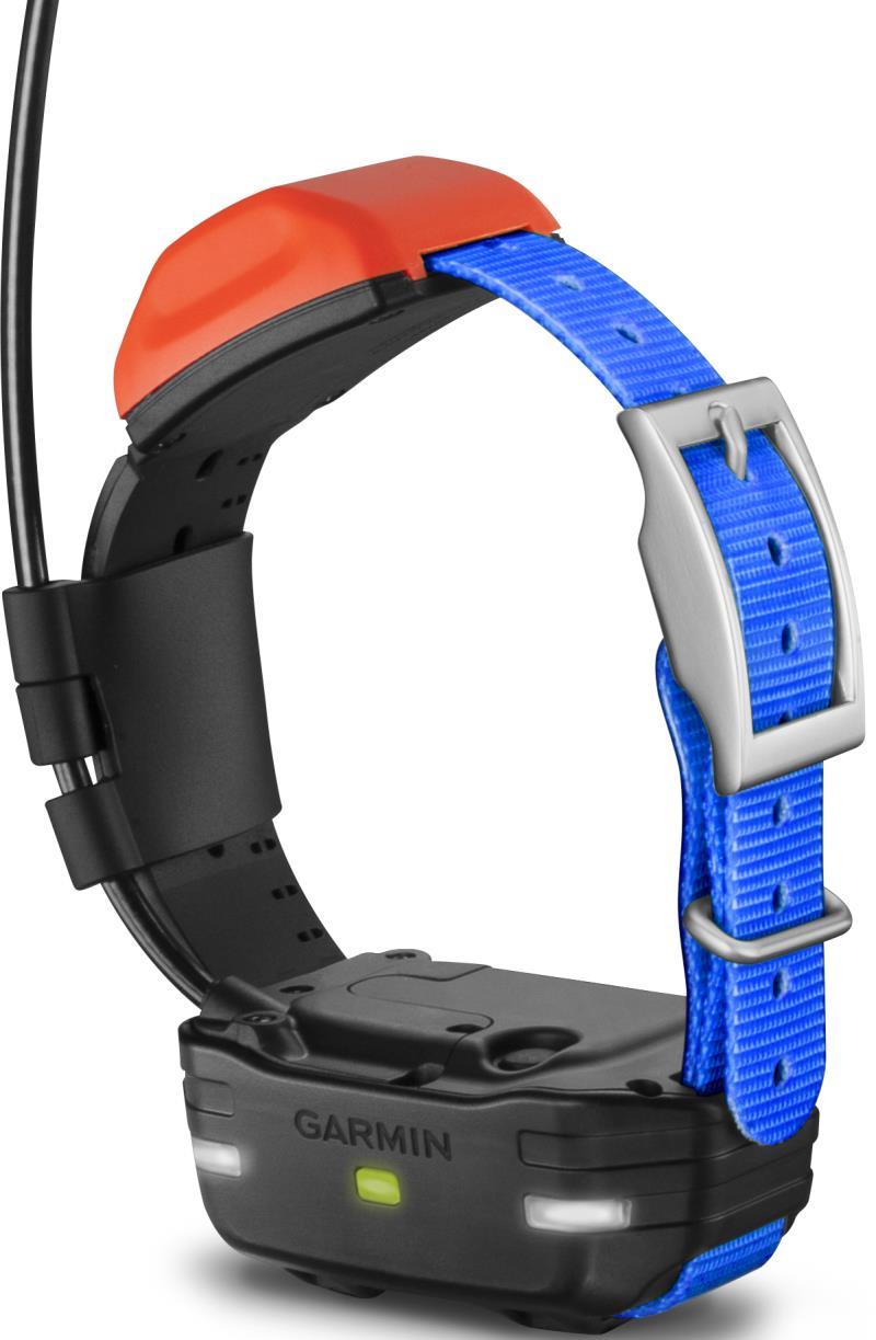 T5 Mini Dog Device - not applicable 1