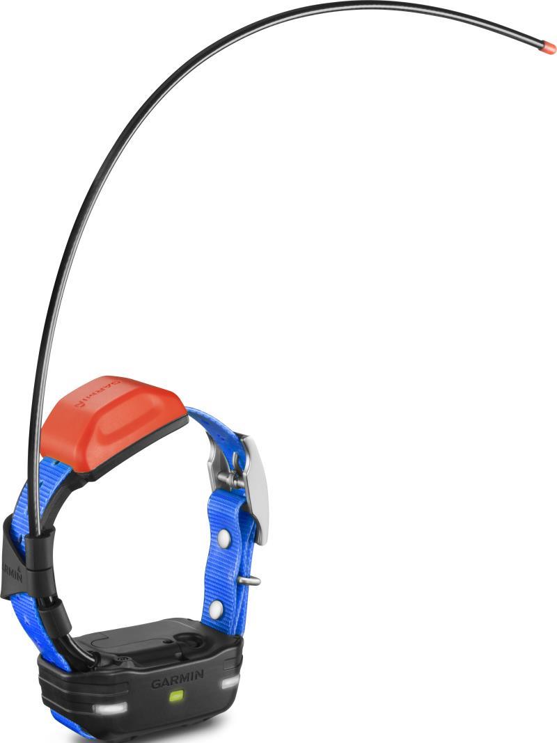 T5 Mini Dog Device - not applicable 1