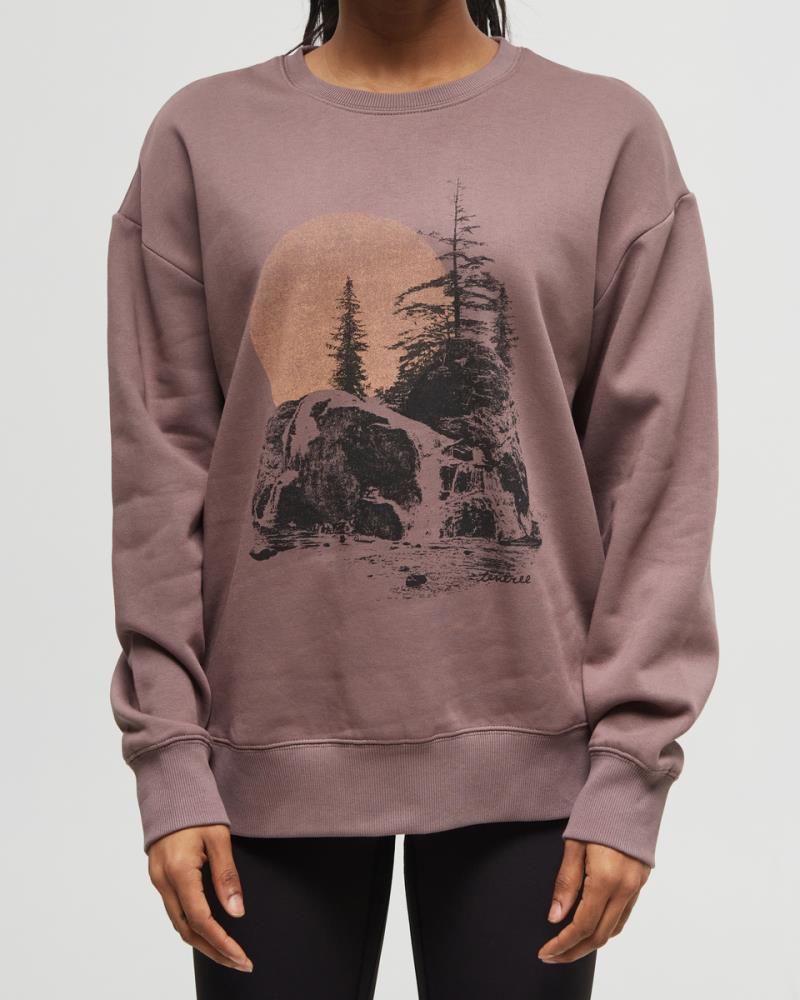 Backcountry Crew - Womens - elkwood / toast 1