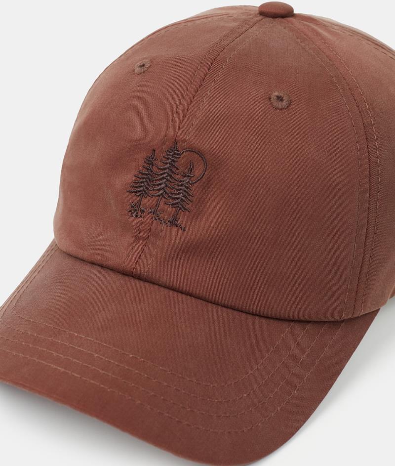 Golden Forest Peak Hat - sepia 1