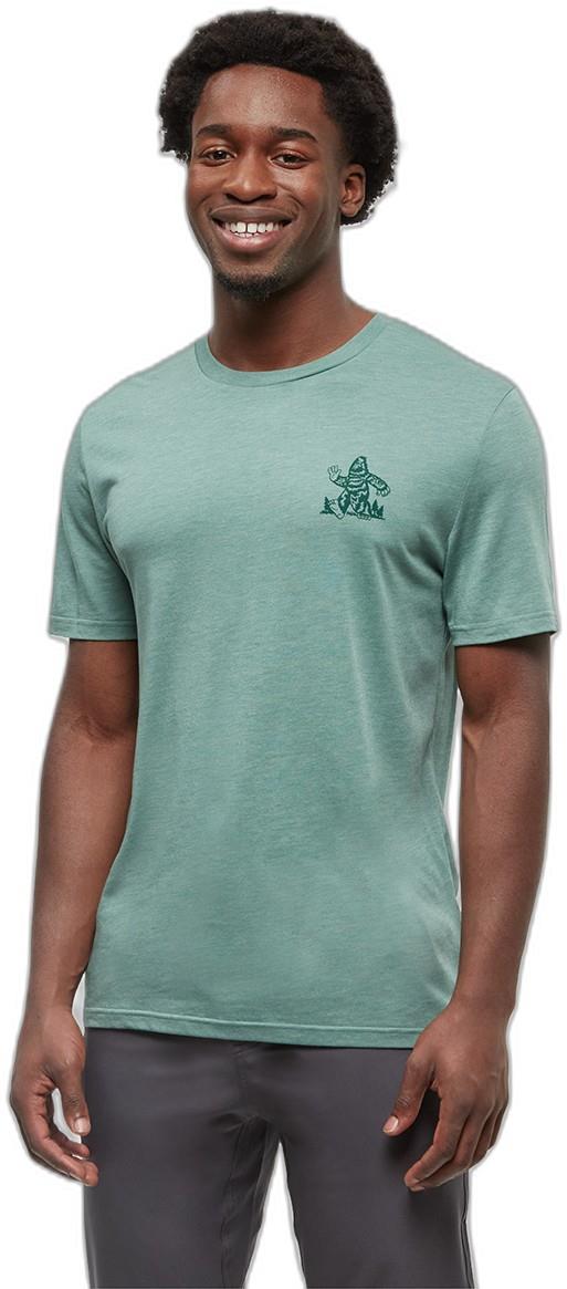 Have You Seen Him T-Shirt - Mens - jade heather / forest pine 1