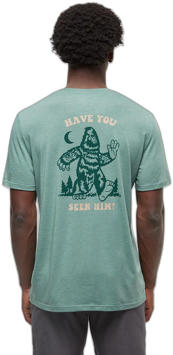Have You Seen Him T-Shirt - Mens - jade heather / forest pine 1