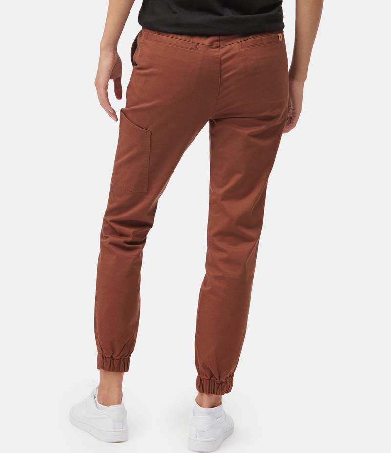Pacific Joggers - Womens - Sepia 2