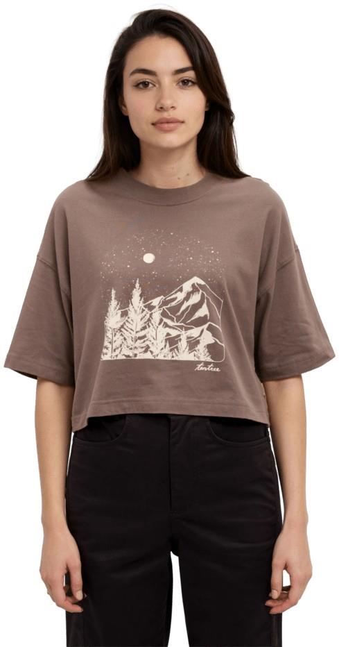 Parks Landscape Oversized Crop T-Shirt - Womens - ashwood / pale oak 1