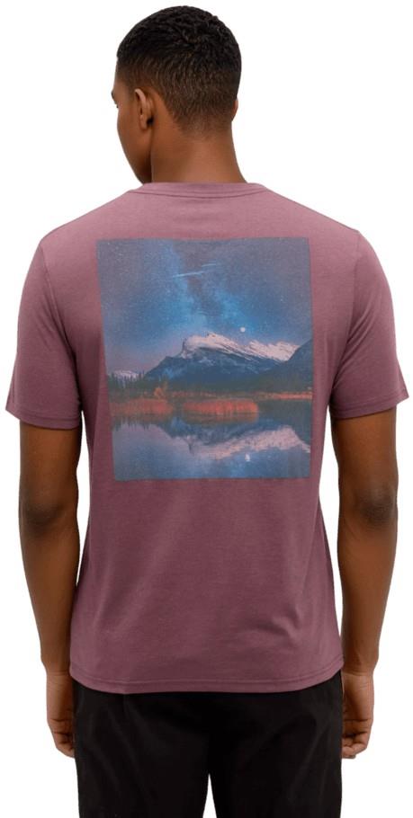 Parks Midnight Mountain T-Shirt - Mens - mauve stone / midnight mountain 1