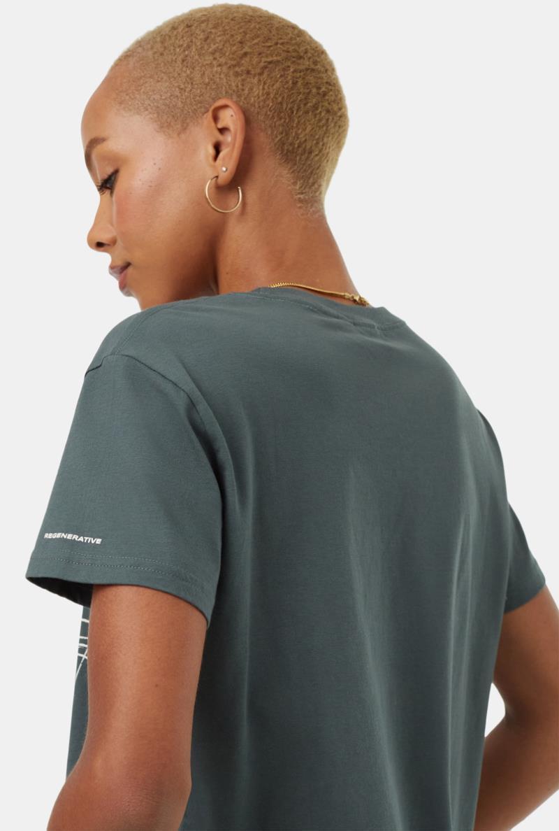 Regenerative Line Graphic T-Shirt - Womens - Urban Green / Vintage White 2