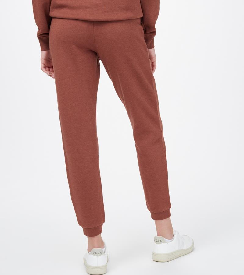 TreeFleece Bamone Sweatpants - Womens - cedar 1