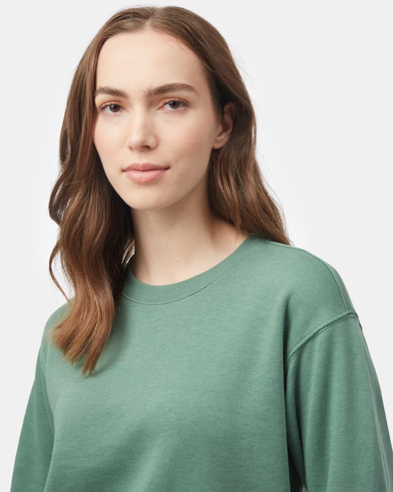 TreeFleece Crew - Womens - wavelite 1
