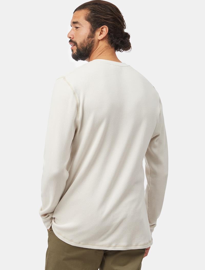 TreeWaffle Henley LS - Mens - Silver Cloud Grey 2