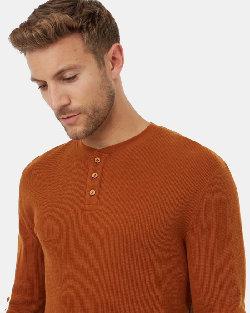 TreeWaffle Henley LS - Mens - Toffee 2