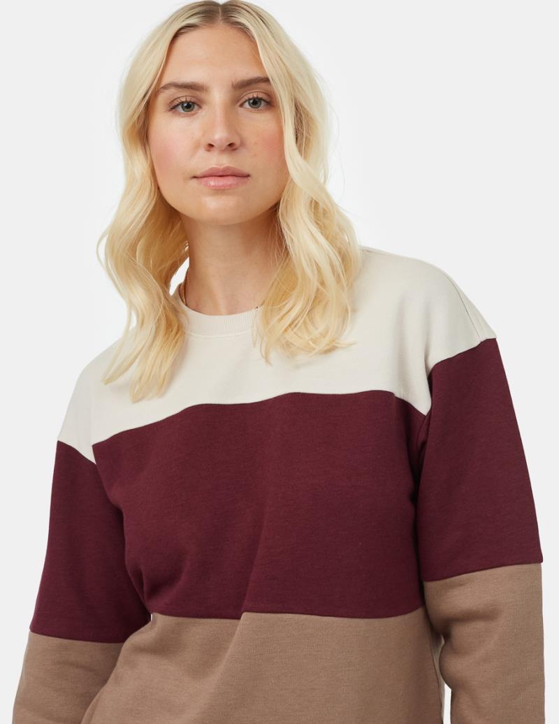 Treefleece Blocked Crew - Womens - silver cloud grey / fig / pine bark 1